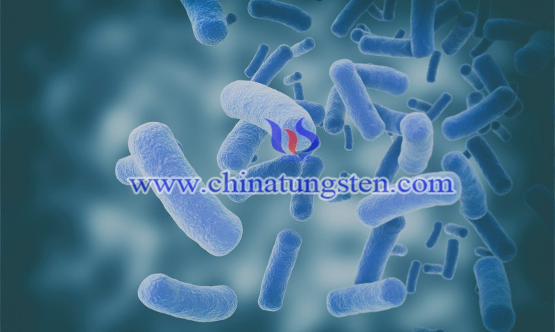 nontuberculous mycobacteria infection image