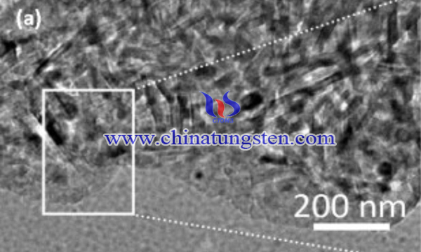 纳米WO3的TEM图像