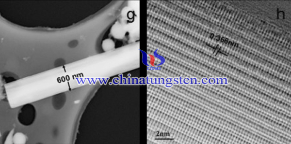 h-WO3 的TEM图像（g）和放大TEM图像（h）