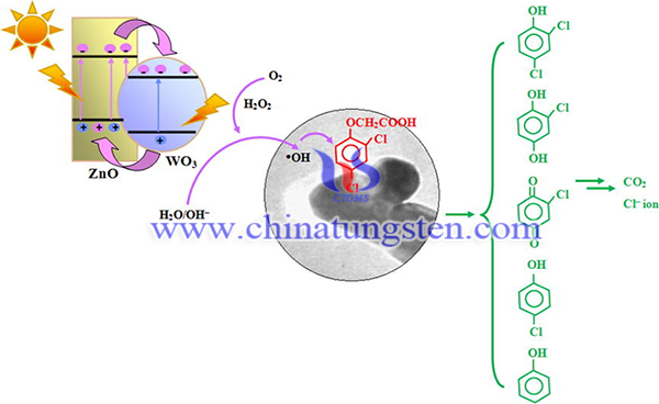 picture of photodegradation of 2,4-D using WO3-ZnO