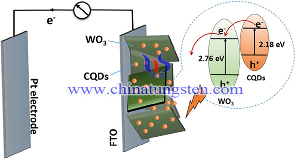 PEC 系統中 CQDs-WO3 異質結的圖片
