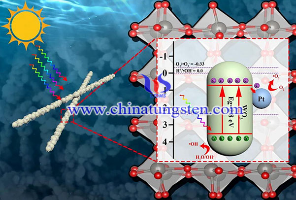 Pt-WO3納米纖維圖像