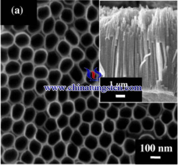 WO3-TiO2纳米管FESEM图像
