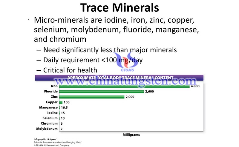 Molybdenum – One of The 9 Trace Minerals