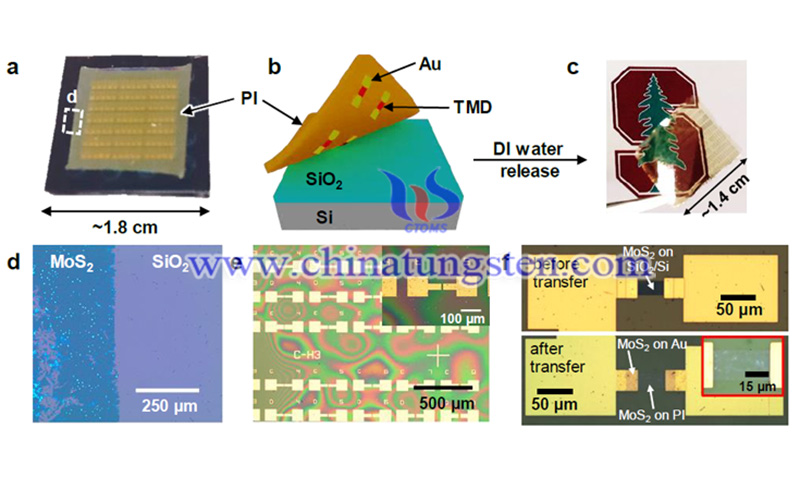 New Approach Yields High-Performance Flextronics Based on Molybdenum Disulfide