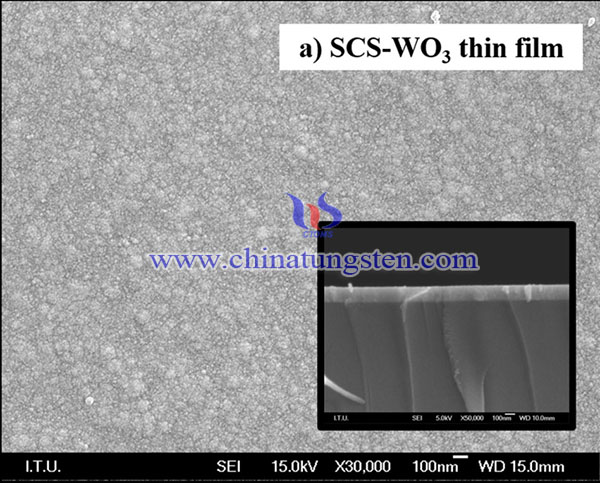 SCS-WO3 的 SEM 图像