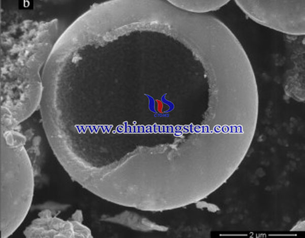 SEM image of WC hollow microsphere