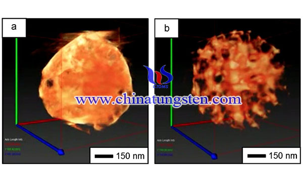 picture of 3D tomography image of spherical macroporous WO3 particles
