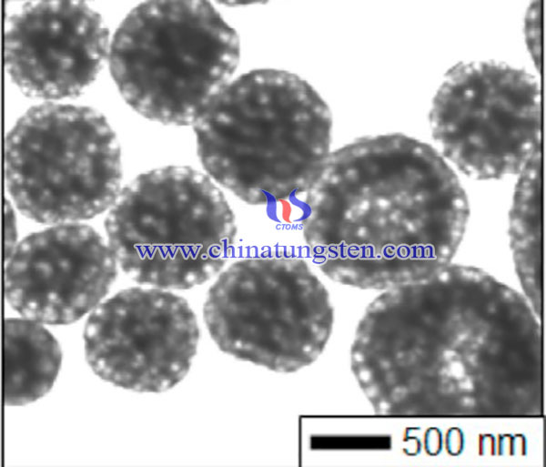 球形大孔 WO3 颗粒的 TEM 图像