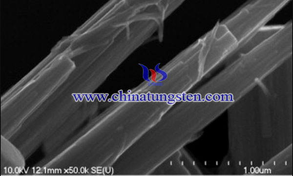 SEM image of WO3 nanowires