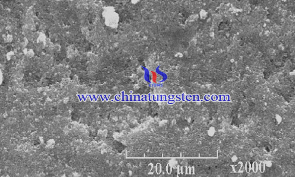 WO3-TiO2光催化剂的SEM图像