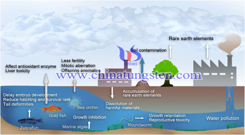 Rare Earth and Water Supply