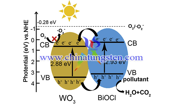 WO3/BiOCl 的工作原理图