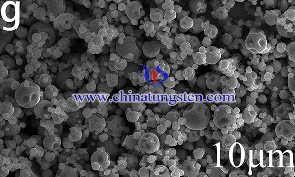SEM image of tungsten-molybdenum alloy