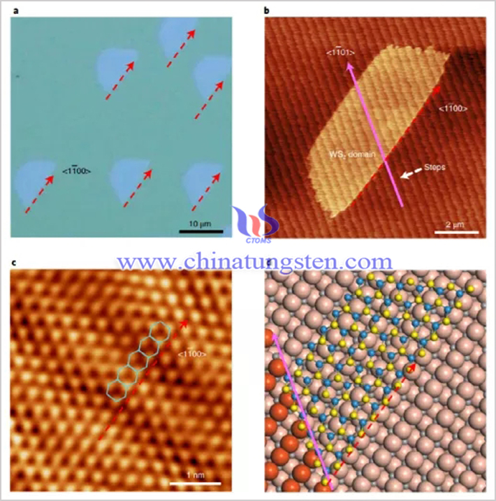 晶圓級單晶WS2的製備圖片
