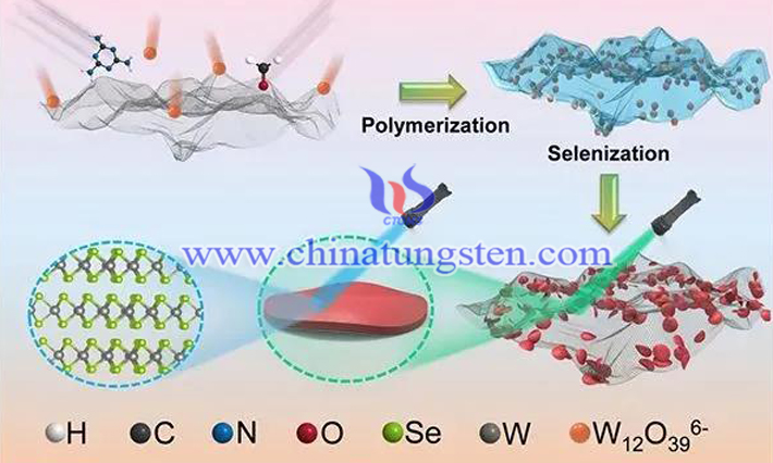 二硒化鎢在鋰硫電池中的應用圖片