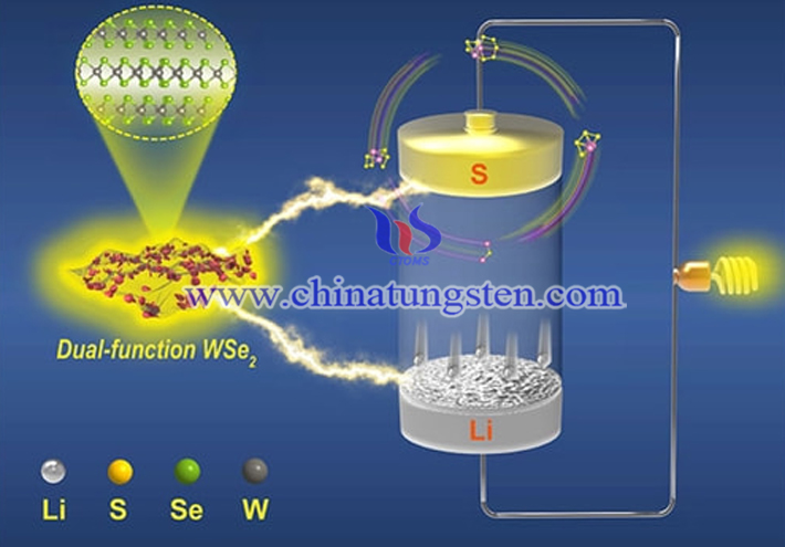 二硒化鎢在鋰硫電池中的應用圖片