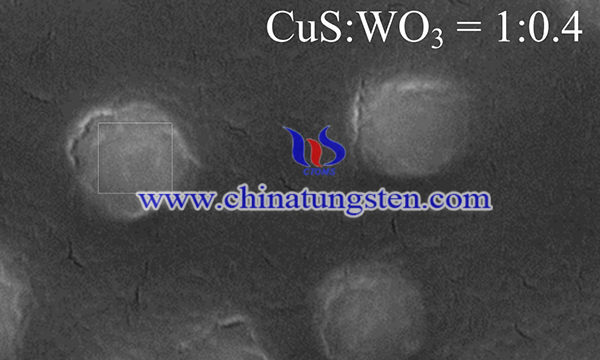 SEM image of CuS-WO3 film