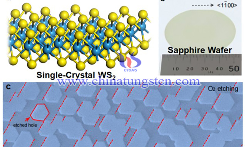 Single-crystal WS2 image