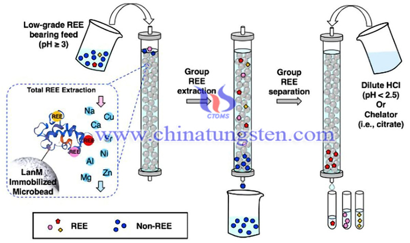 提取和分离稀土的环境友好方法图片