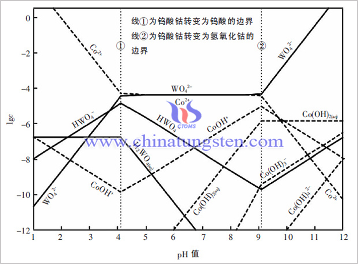 Co-W-H2O体系各溶解组分的lgc-pH 图