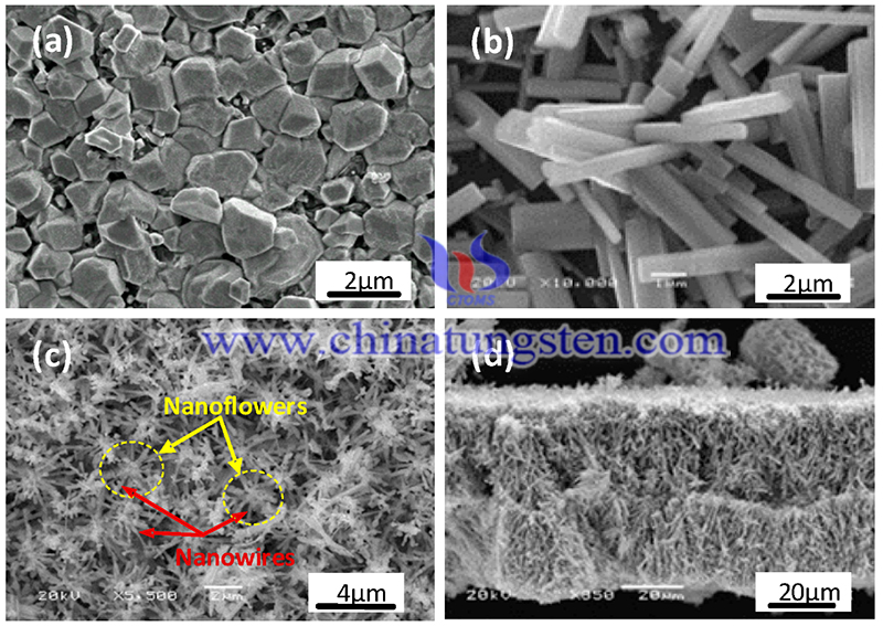 Tungsten oxide nanostructures image