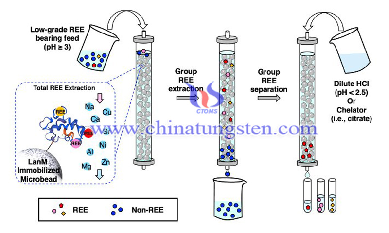 提取和分离稀土元素的环保方法图片