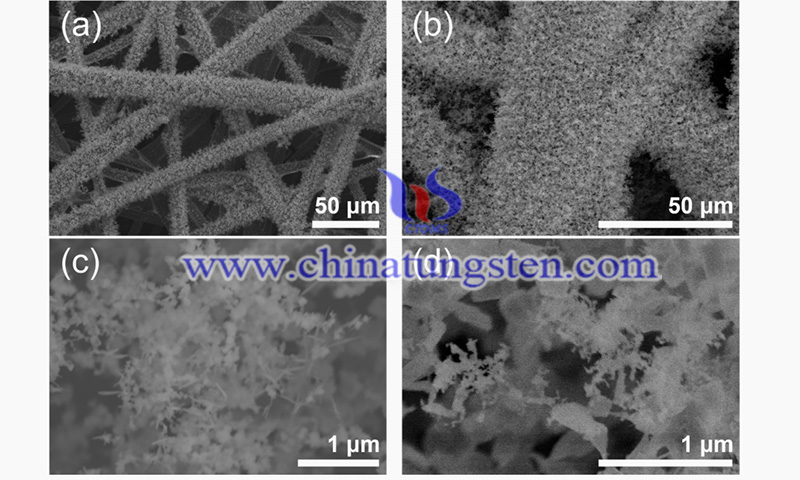 FE-SEM images of the molybdenum oxide nanoparticle aggregates image