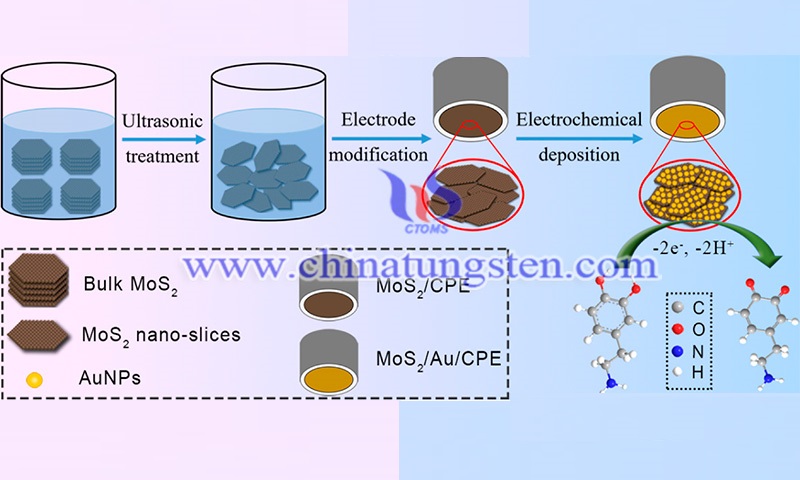 金纳米粒子装饰的MoS2纳米片的制作图片
