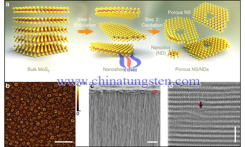 High permeability sub-nanometre sieve composite MoS2 membranes image