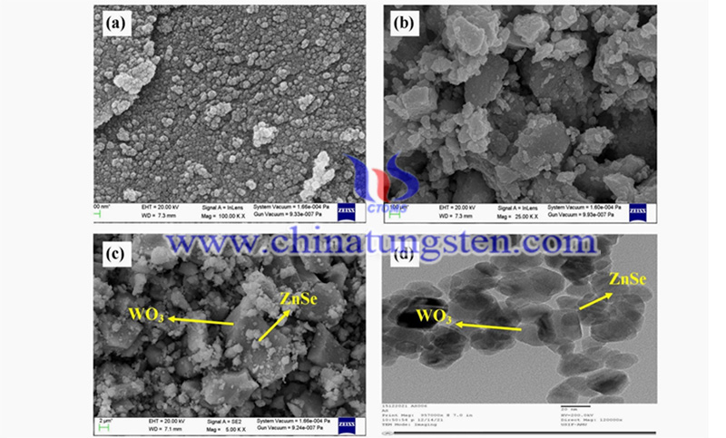 SEM micrographs of ZnSe WO3 and WO3-ZnSe image