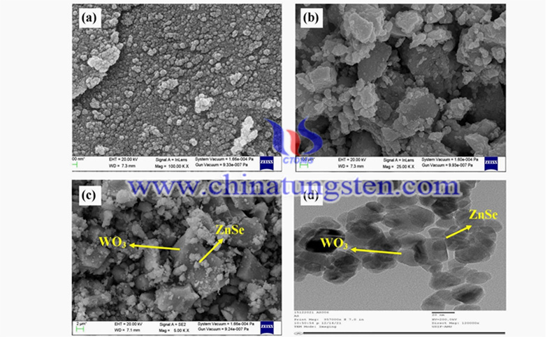 ZnSe WO3和WO3-ZnSe的SEM显微图片