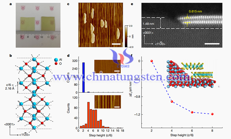 Step-edge nucleation of bilayer MoS2 on c-plane sapphire image