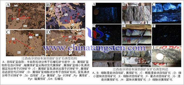 朱溪钨铜矿区矿石典型结构构造图