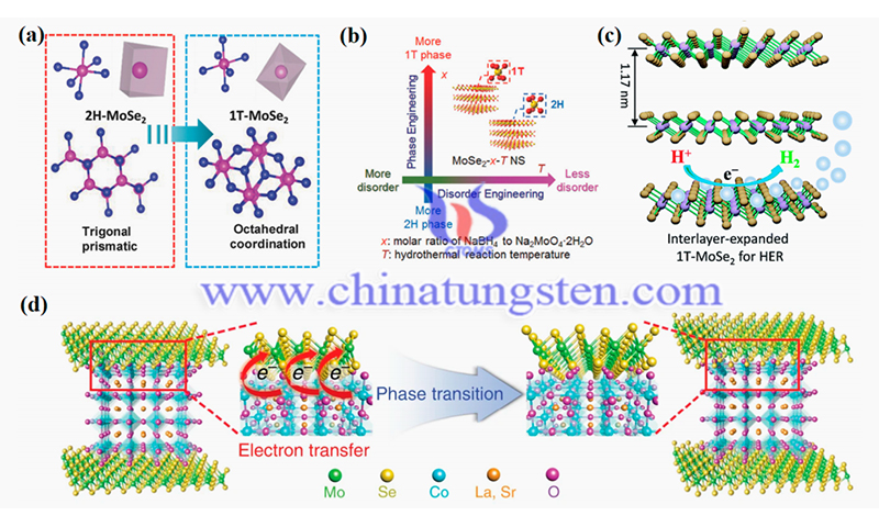 2H to 1T phase transformation of 2D MoSe2 image