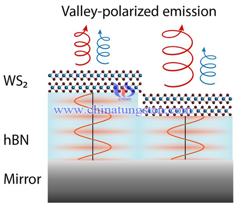 Atomically WS2 thin semiconductors image