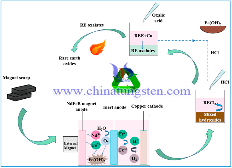 Hydrometallurgical recovery of rare earth elements image