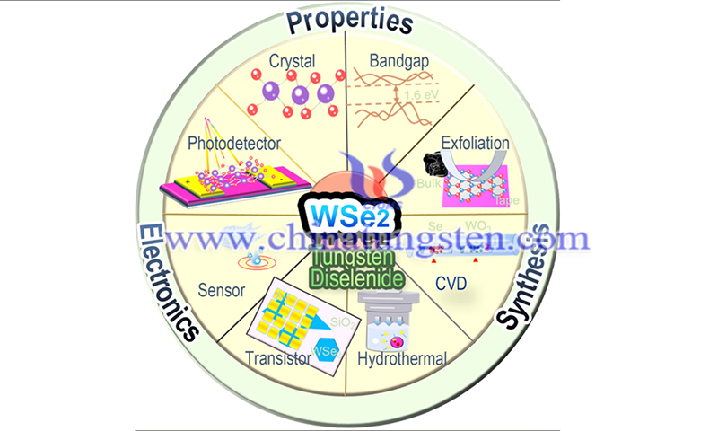 WSe2 2D p-type semiconductor-based electronic devices image