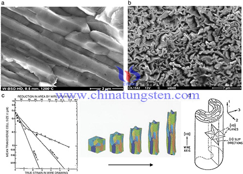 Longitudinal and transversal fibre morphology of doped tungsten wire image