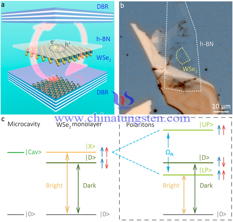 Sample structure and brightening mechanism image