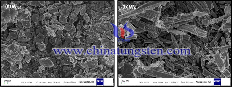 FESEM micrographs of a WNS and b WNR image