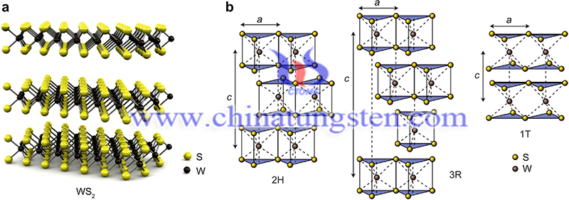 General structure of TMDSs image