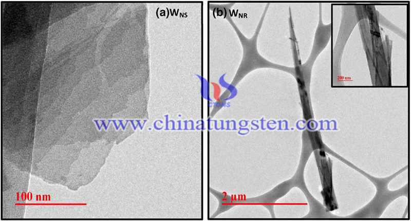 HRTEM micrographs of a WNS and b WNR image