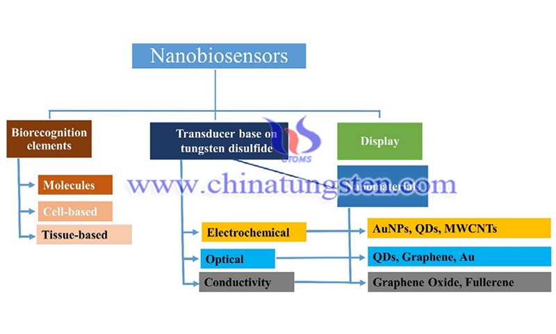 Nanobiosensor classification base on tungsten disulfide image