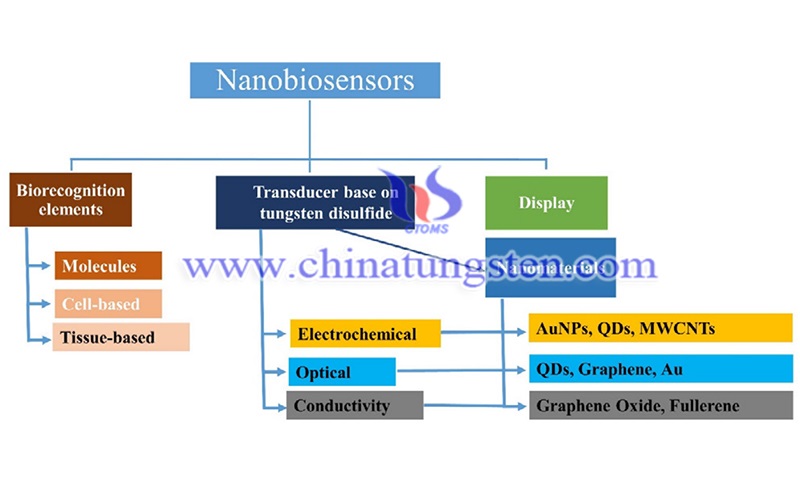 基于二硫化钨的纳米生物传感器分类图片