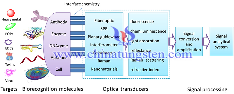 Recent advances in optical biosensors for environmental monitoring image