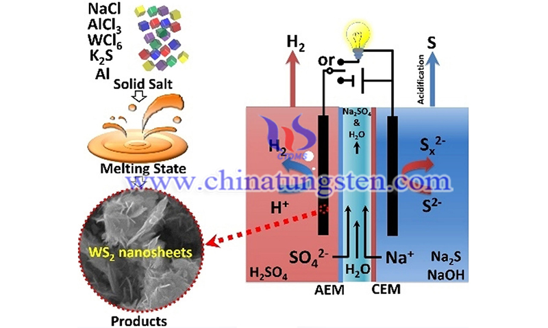Scalable synthesis of tungsten disulfide nanosheets image