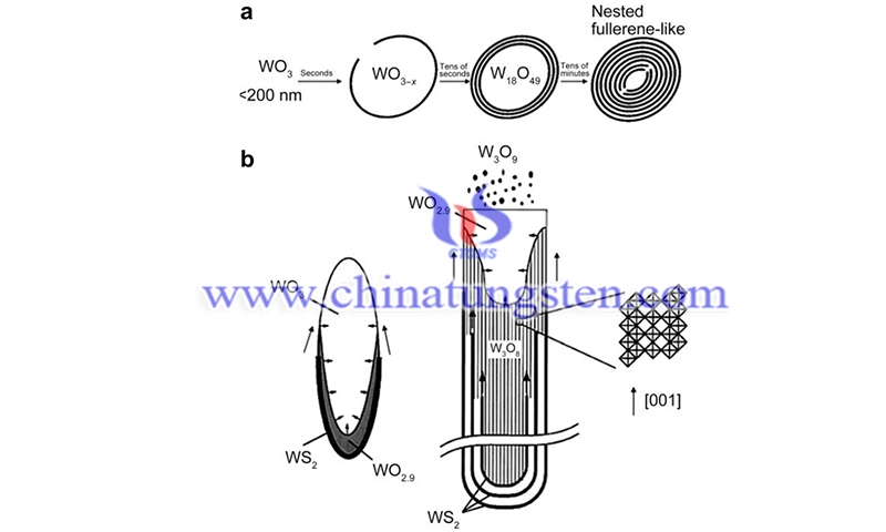 Schematic depiction of the growth mechanism of IF-WS2 nanoparticles image