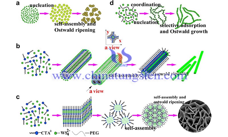 Schematic illustration of the forming process of WS2 samples with different morphologies image