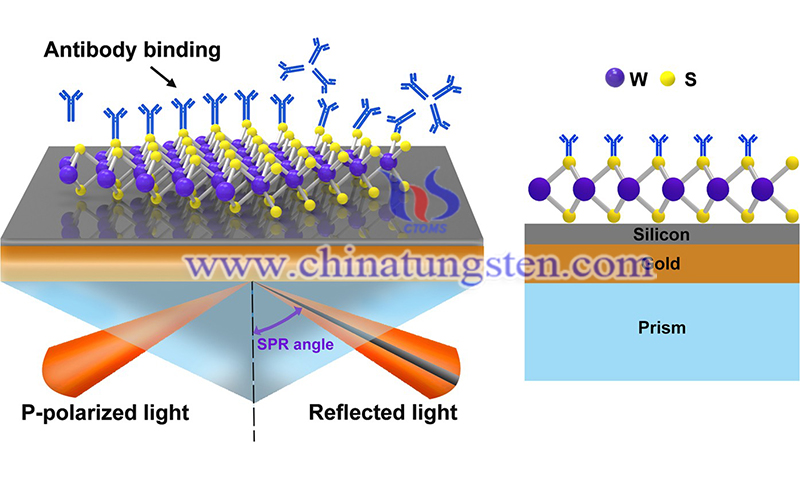 Silicon nanostructure-based surface plasmon rresonance biosensor image
